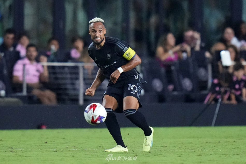 在各自领域 在各自领域