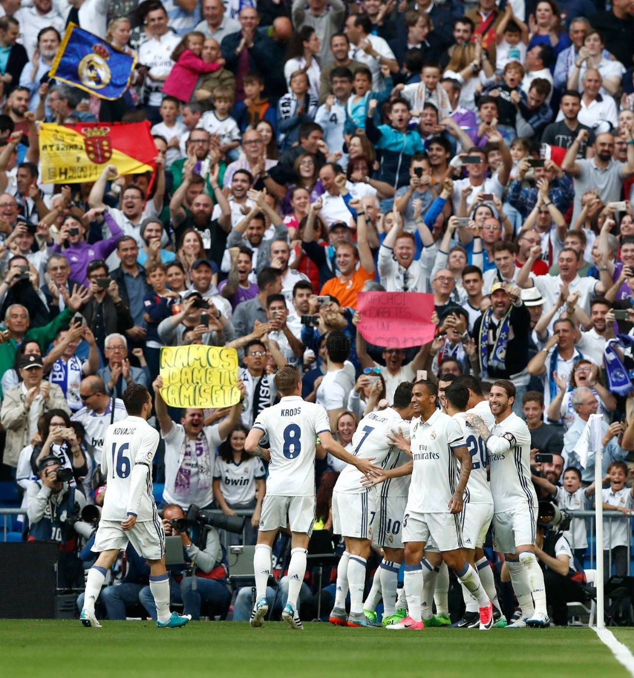 在各自领域 在各自领域